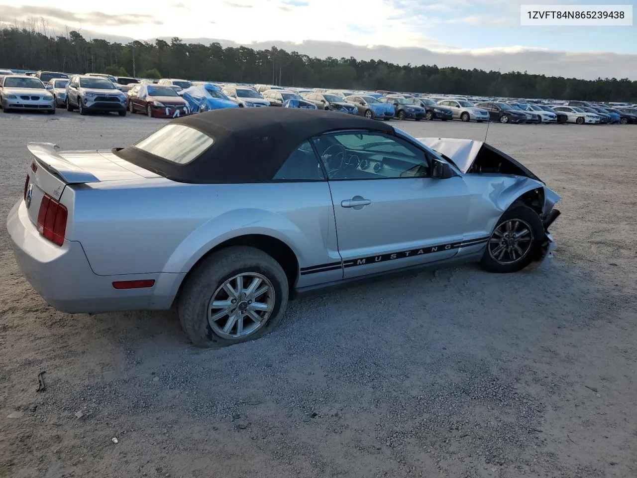 2006 Ford Mustang VIN: 1ZVFT84N865239438 Lot: 71591784