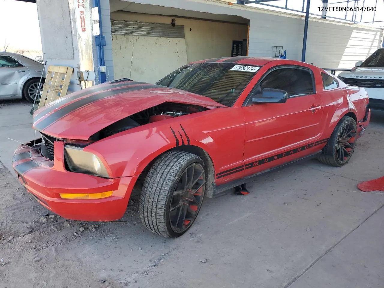 2006 Ford Mustang VIN: 1ZVFT80N365147840 Lot: 71682414