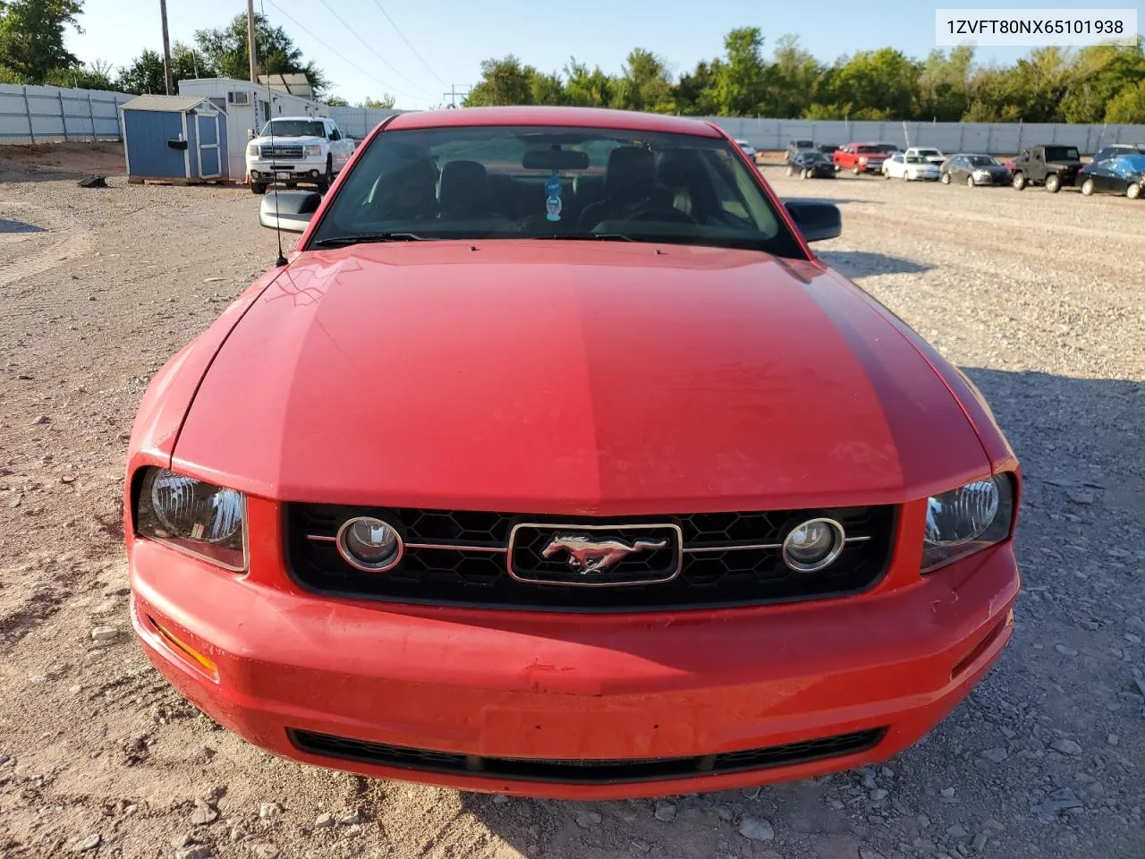 2006 Ford Mustang VIN: 1ZVFT80NX65101938 Lot: 71830474