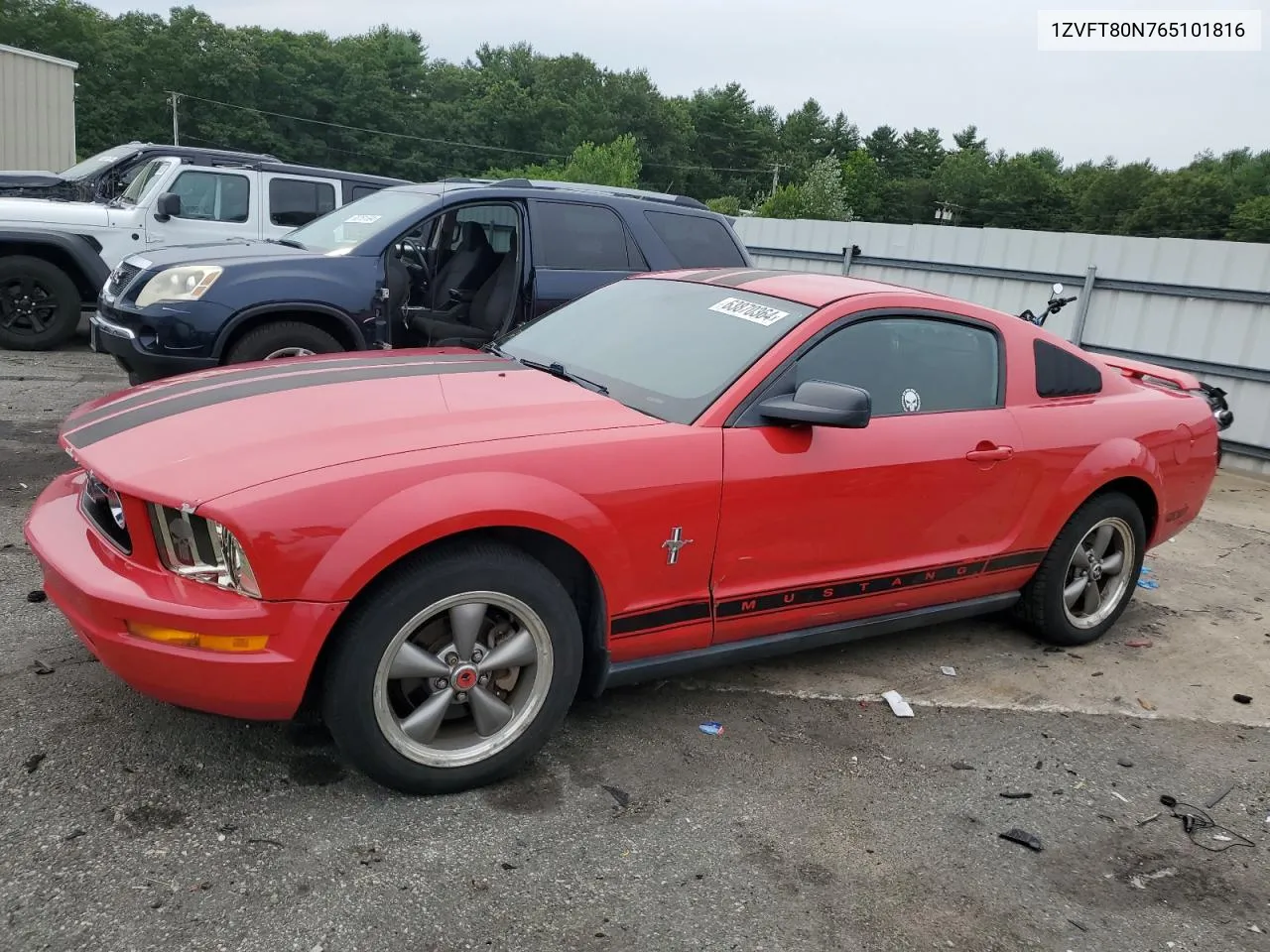 2006 Ford Mustang VIN: 1ZVFT80N765101816 Lot: 72496814