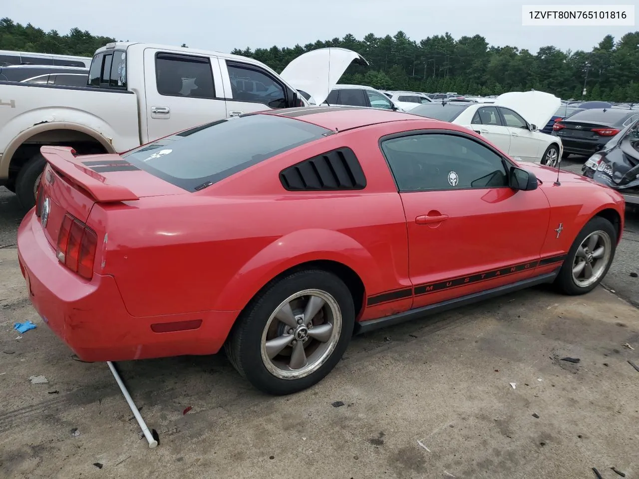 2006 Ford Mustang VIN: 1ZVFT80N765101816 Lot: 72496814