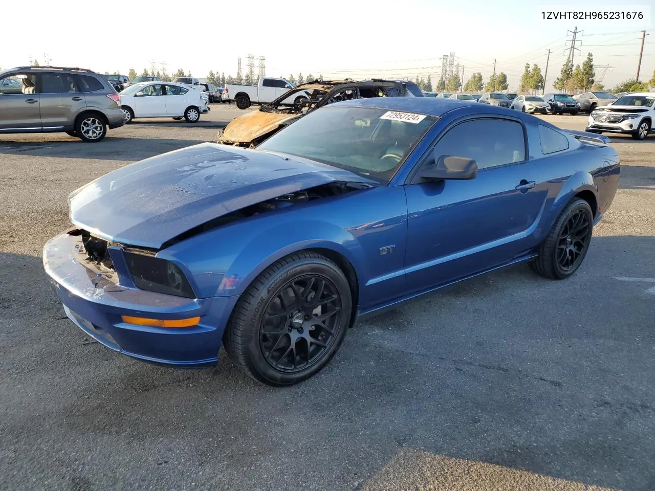 2006 Ford Mustang Gt VIN: 1ZVHT82H965231676 Lot: 72953124