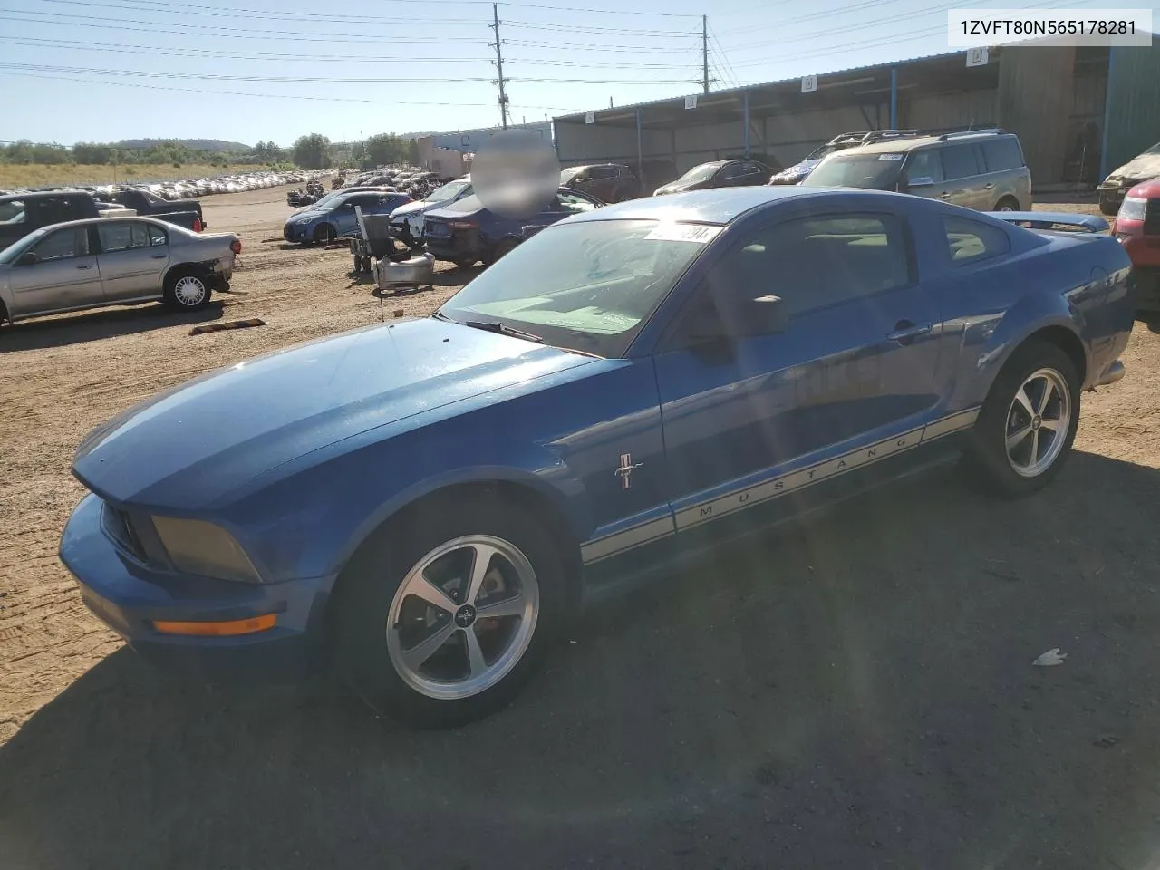 2006 Ford Mustang VIN: 1ZVFT80N565178281 Lot: 73146294