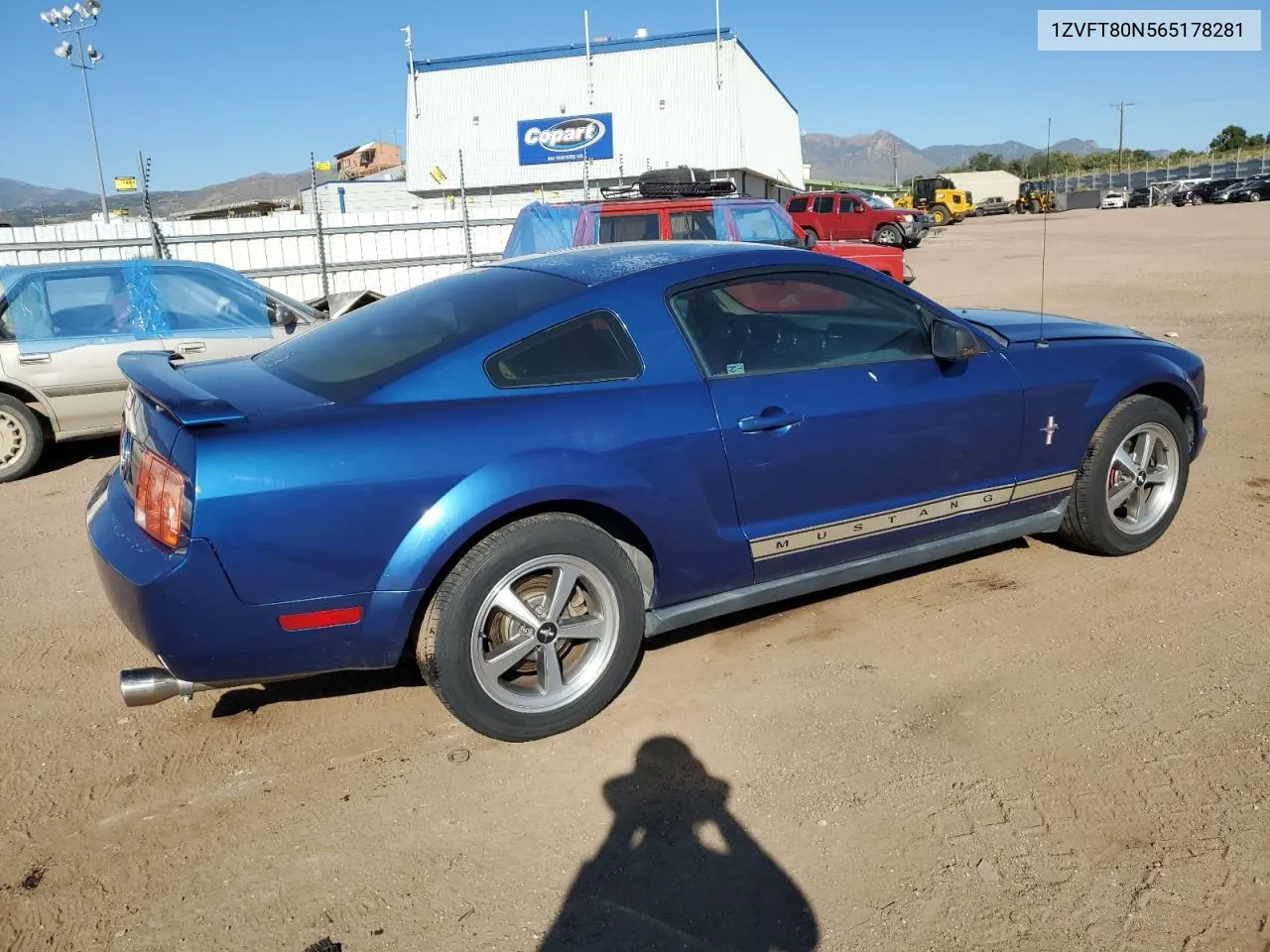 2006 Ford Mustang VIN: 1ZVFT80N565178281 Lot: 73146294