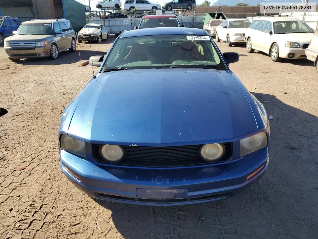 2006 Ford Mustang VIN: 1ZVFT80N565178281 Lot: 73146294