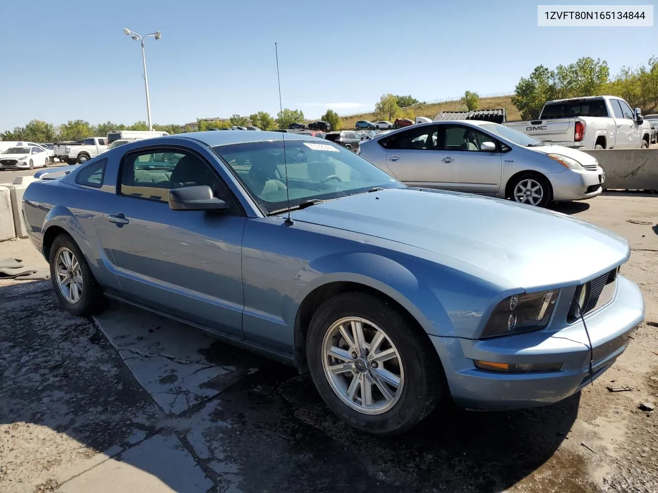 2006 Ford Mustang VIN: 1ZVFT80N165134844 Lot: 73168944