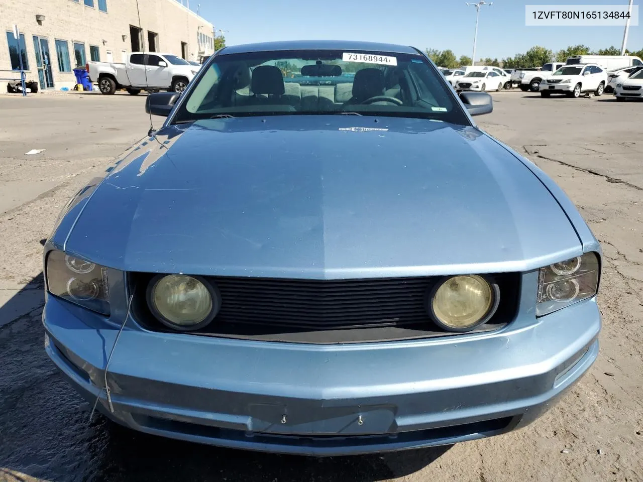 2006 Ford Mustang VIN: 1ZVFT80N165134844 Lot: 73168944