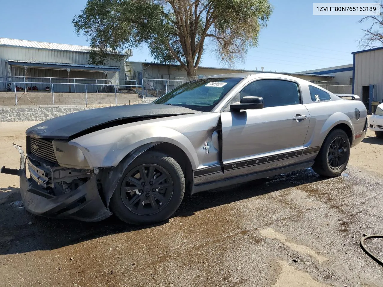 2006 Ford Mustang VIN: 1ZVHT80N765163189 Lot: 73425804