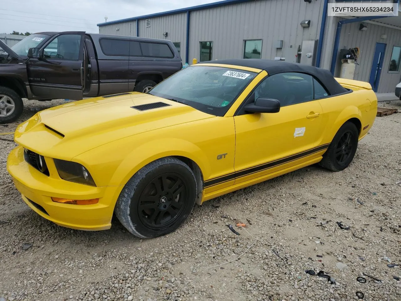 2006 Ford Mustang Gt VIN: 1ZVFT85HX65234234 Lot: 73637604