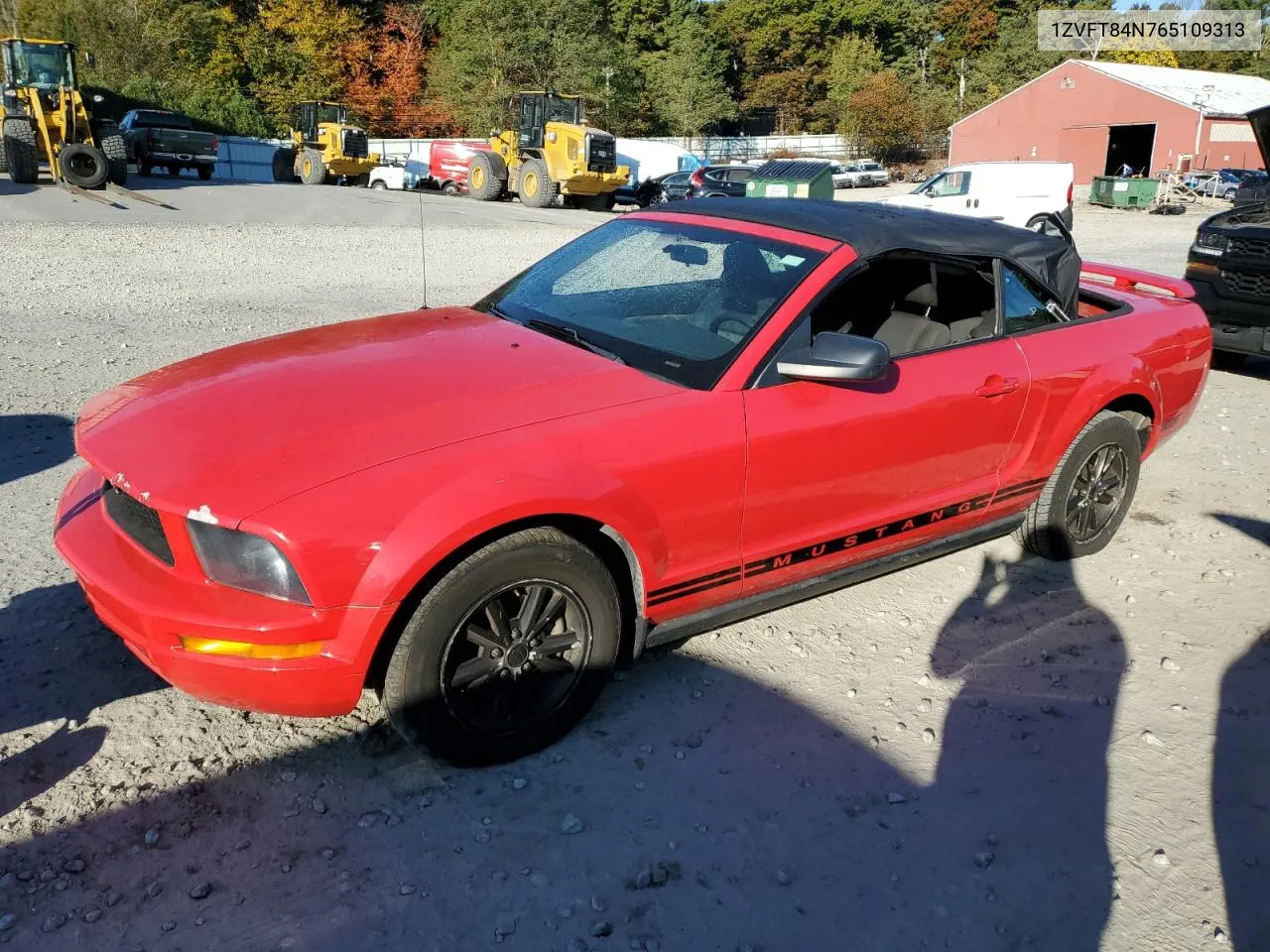 2006 Ford Mustang VIN: 1ZVFT84N765109313 Lot: 74519224