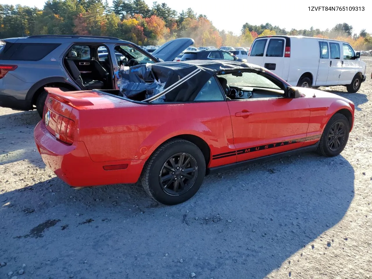 2006 Ford Mustang VIN: 1ZVFT84N765109313 Lot: 74519224