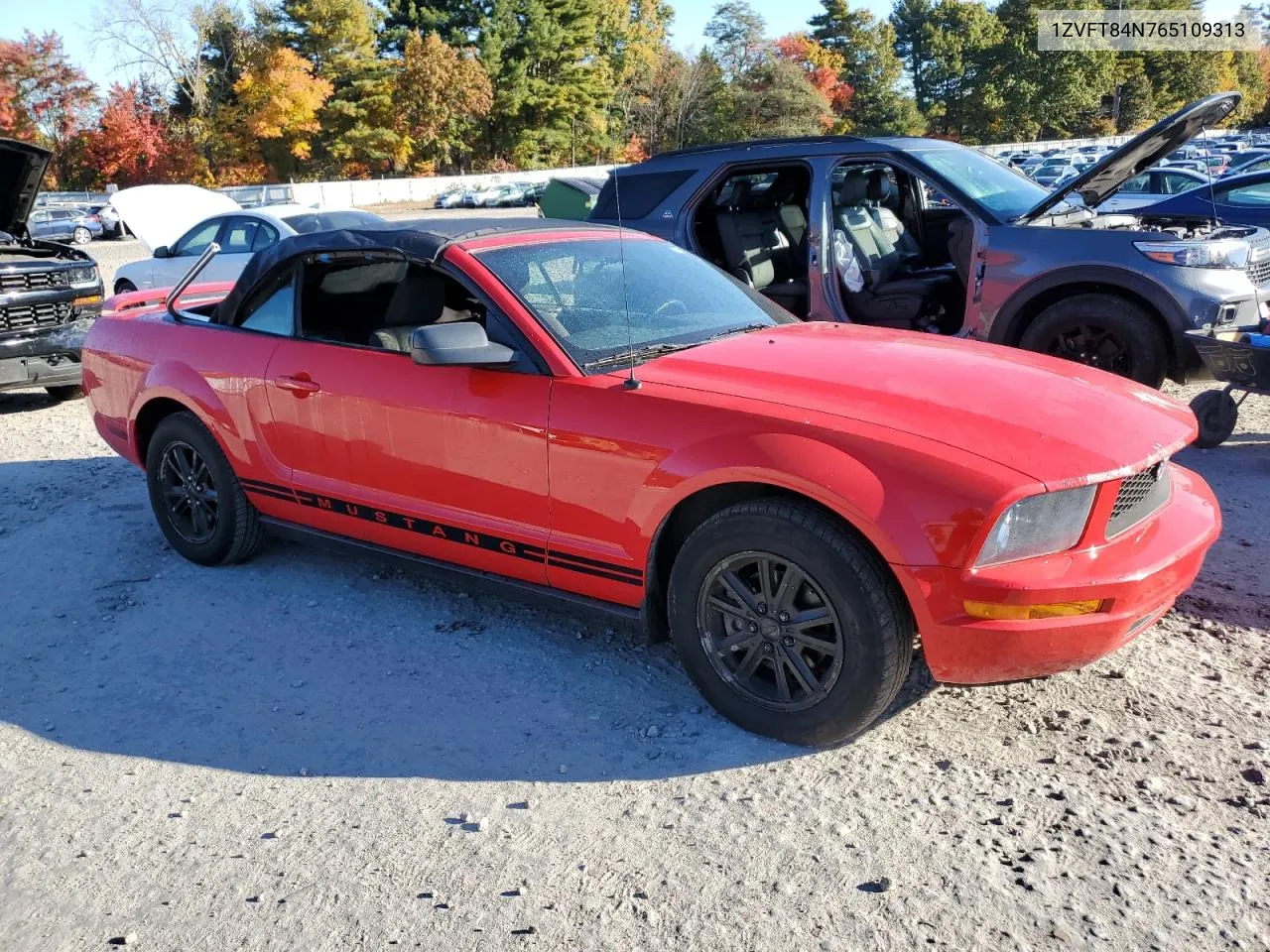 2006 Ford Mustang VIN: 1ZVFT84N765109313 Lot: 74519224