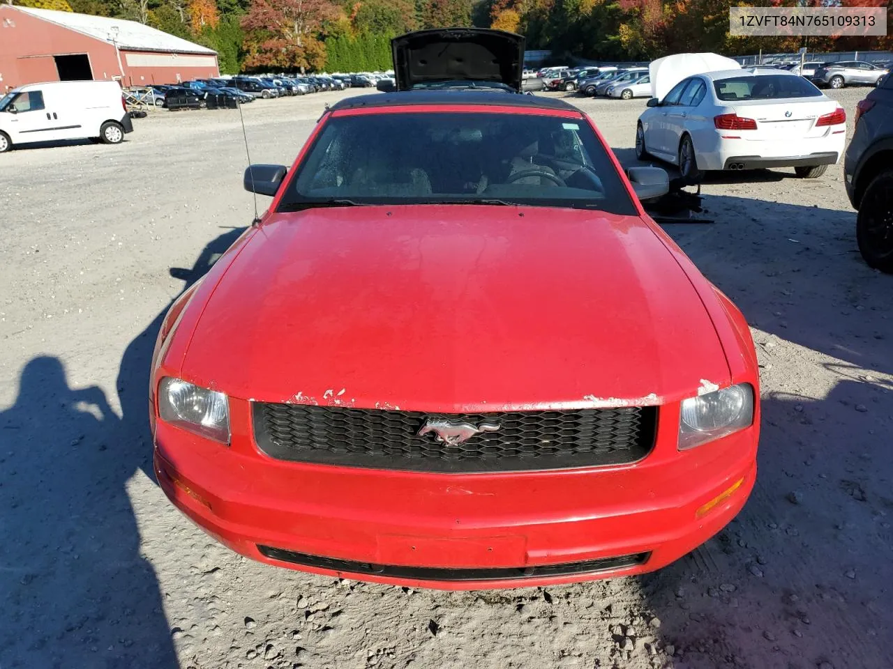 2006 Ford Mustang VIN: 1ZVFT84N765109313 Lot: 74519224