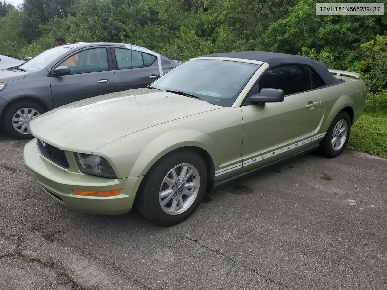 2006 Ford Mustang VIN: 1ZVHT84N565239437 Lot: 74831094