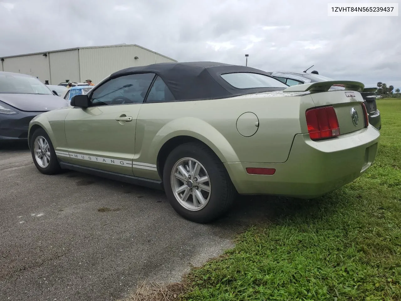 2006 Ford Mustang VIN: 1ZVHT84N565239437 Lot: 74831094