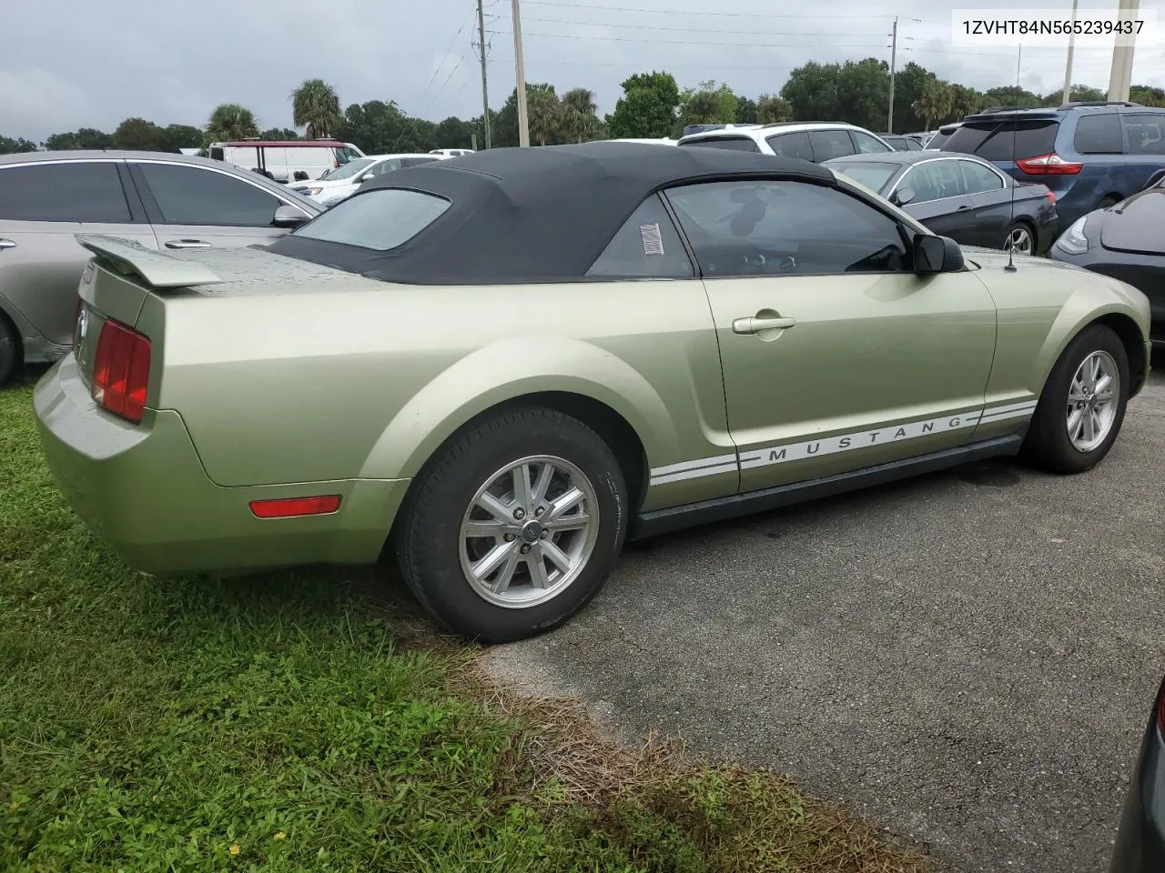 2006 Ford Mustang VIN: 1ZVHT84N565239437 Lot: 74831094