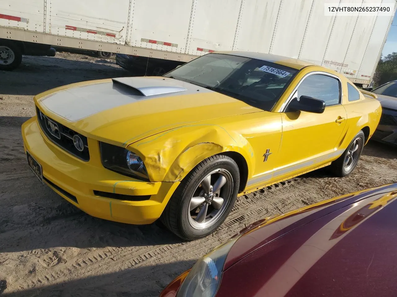 2006 Ford Mustang VIN: 1ZVHT80N265237490 Lot: 75167664