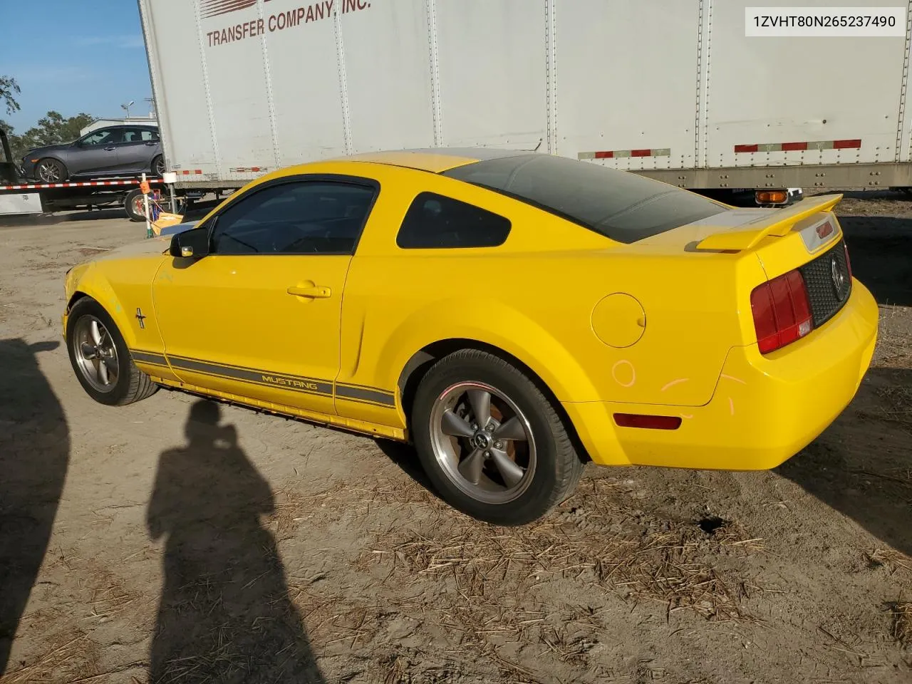 2006 Ford Mustang VIN: 1ZVHT80N265237490 Lot: 75167664