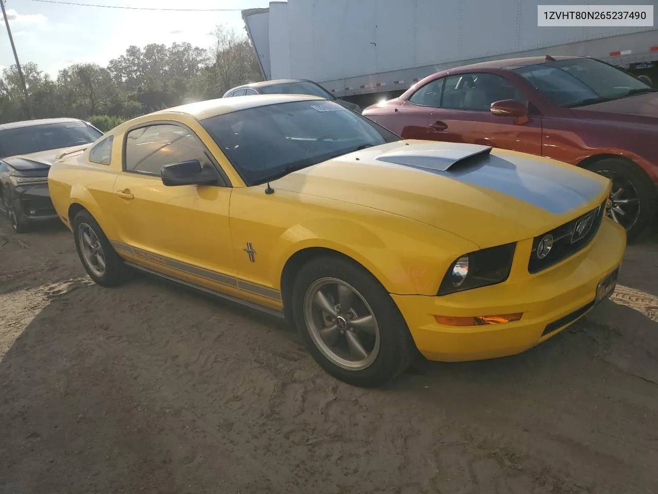 2006 Ford Mustang VIN: 1ZVHT80N265237490 Lot: 75167664