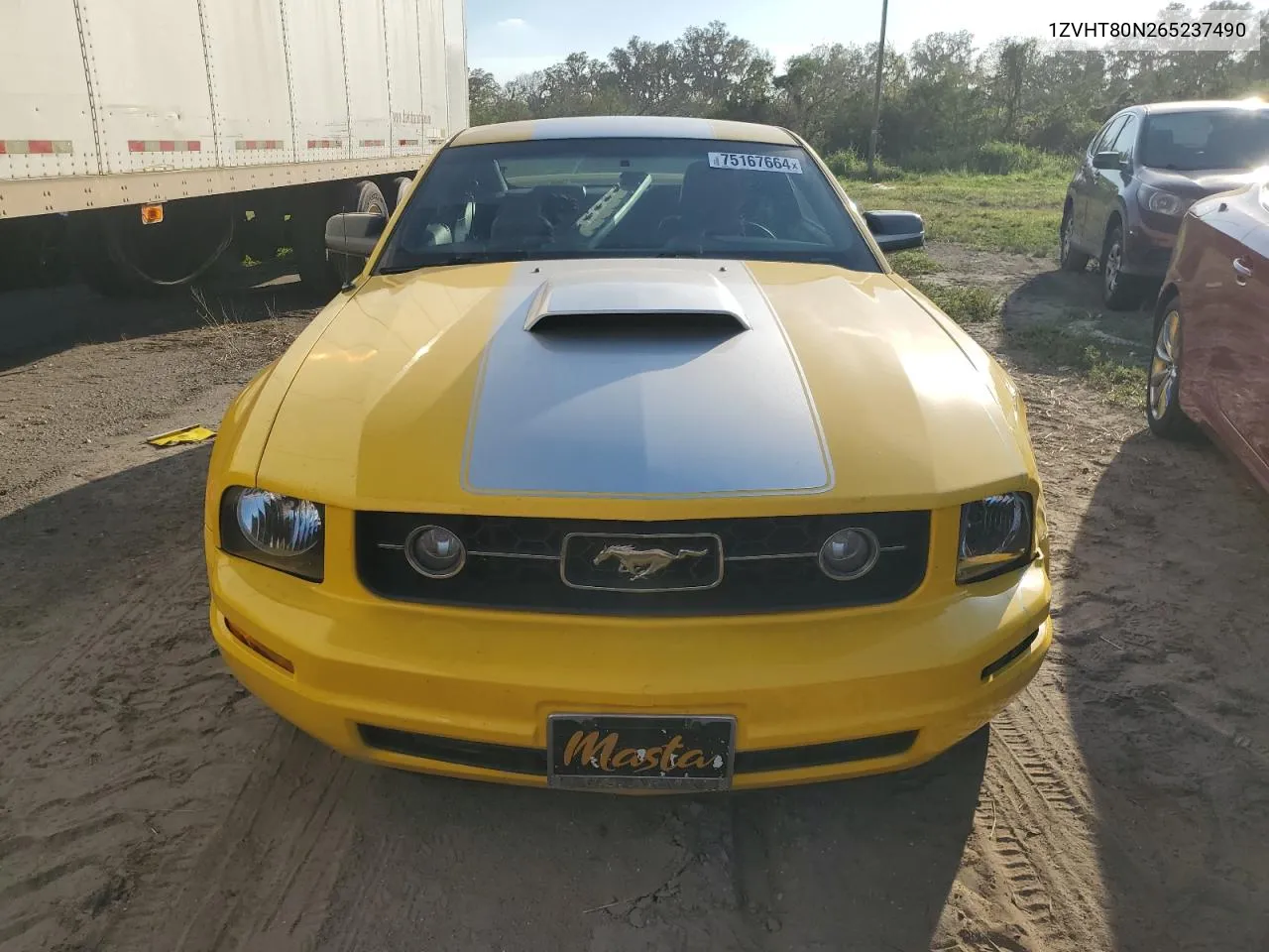 2006 Ford Mustang VIN: 1ZVHT80N265237490 Lot: 75167664