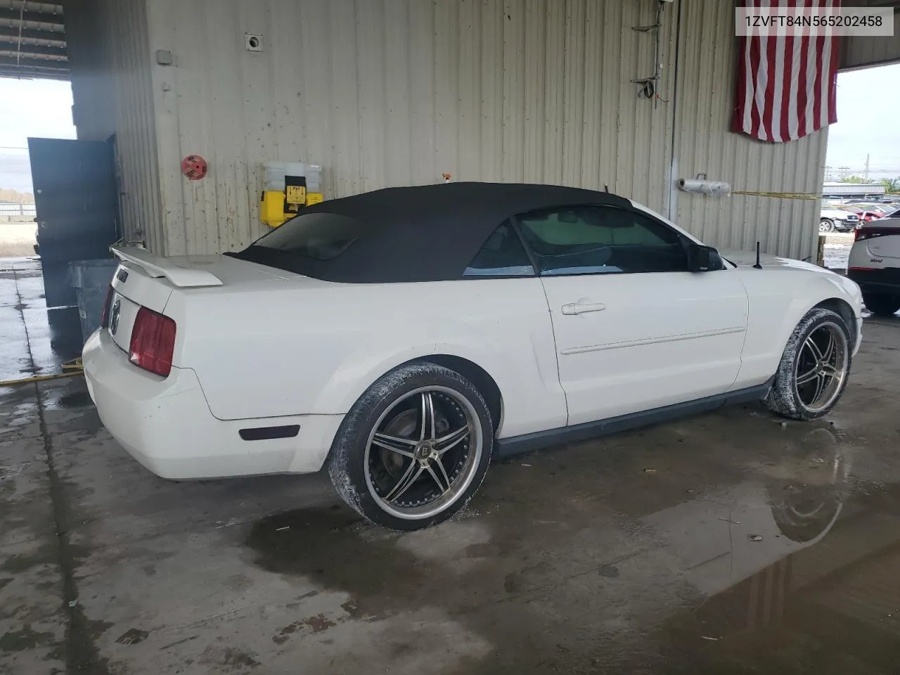 2006 Ford Mustang VIN: 1ZVFT84N565202458 Lot: 75310324