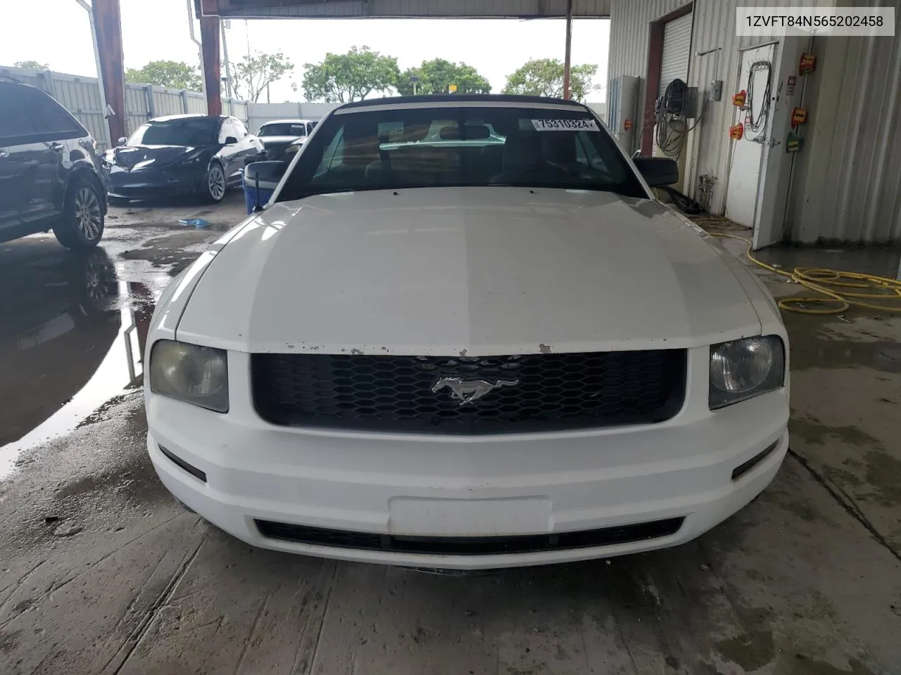 2006 Ford Mustang VIN: 1ZVFT84N565202458 Lot: 75310324