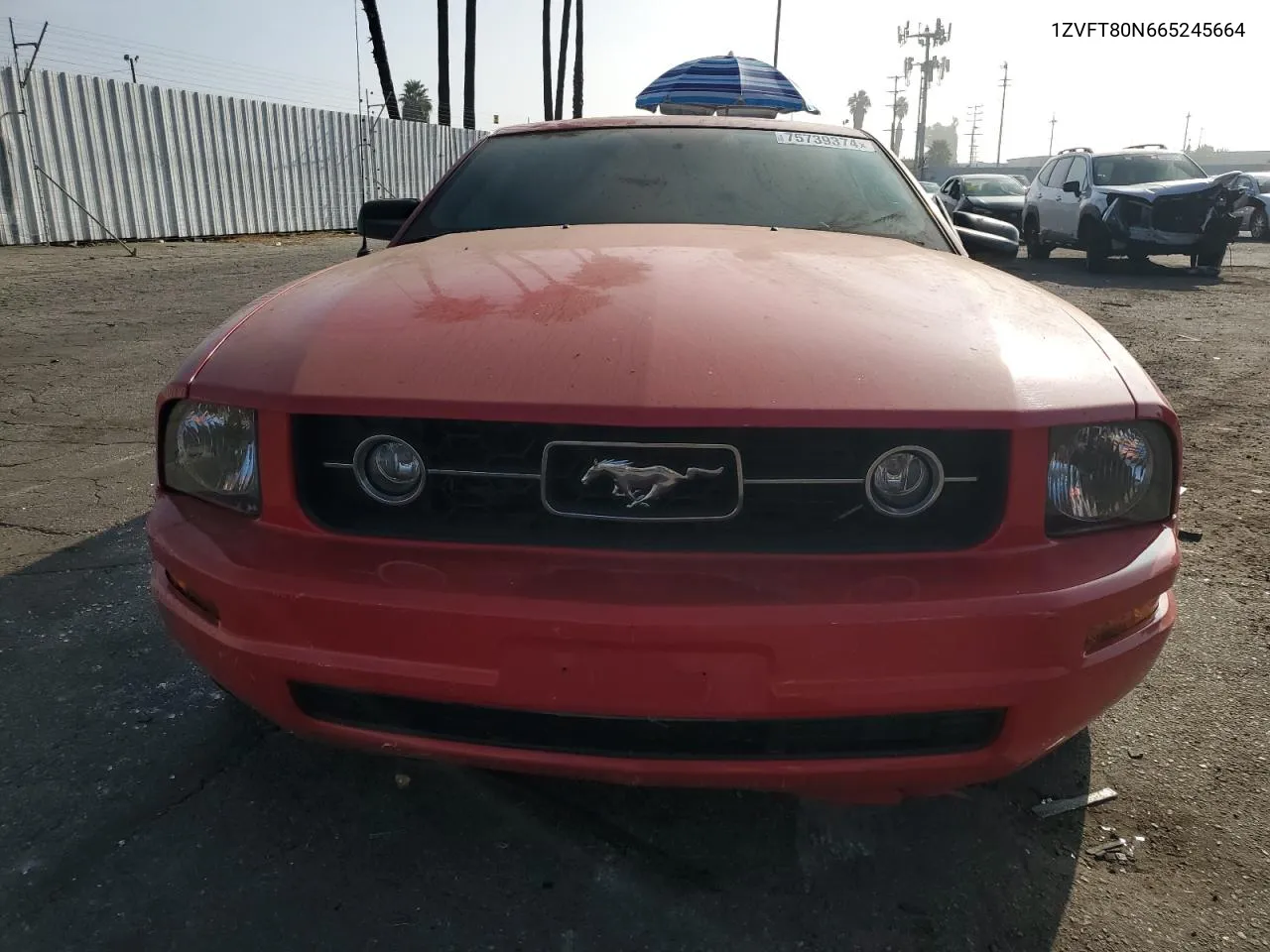 2006 Ford Mustang VIN: 1ZVFT80N665245664 Lot: 75739374