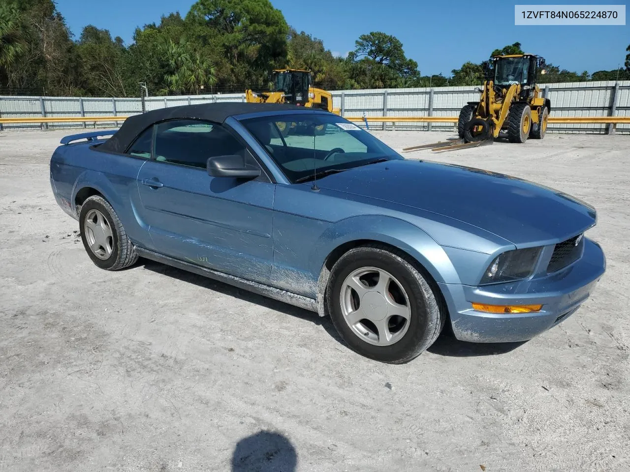 2006 Ford Mustang VIN: 1ZVFT84N065224870 Lot: 75928284