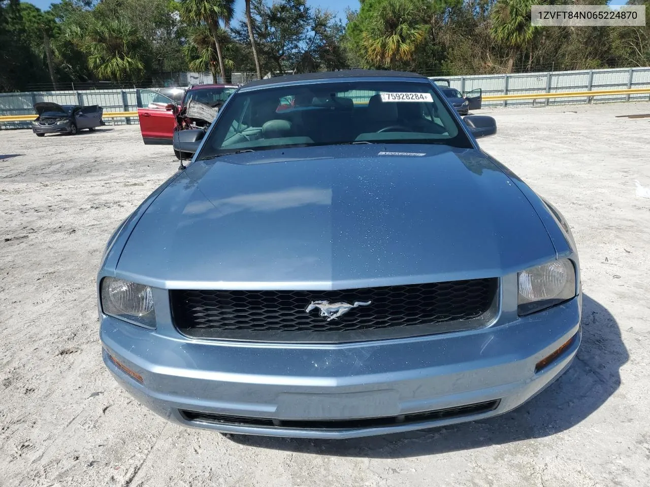 2006 Ford Mustang VIN: 1ZVFT84N065224870 Lot: 75928284