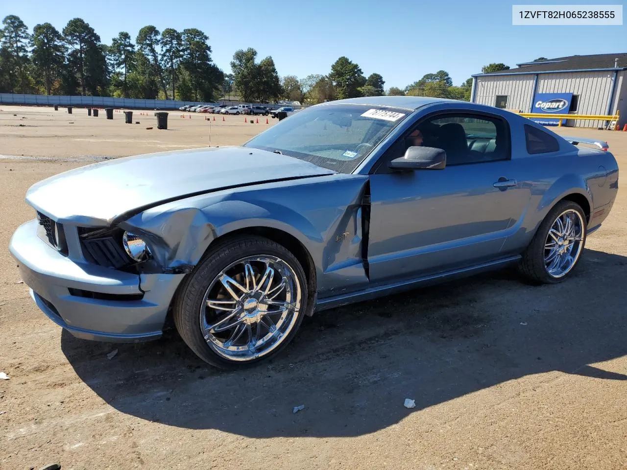 2006 Ford Mustang Gt VIN: 1ZVFT82H065238555 Lot: 76775744