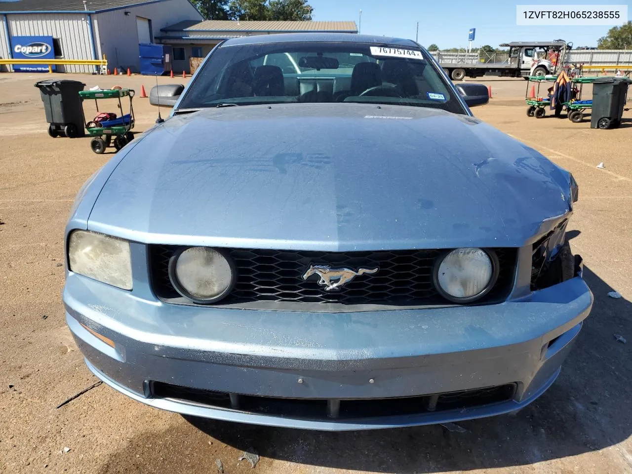 2006 Ford Mustang Gt VIN: 1ZVFT82H065238555 Lot: 76775744