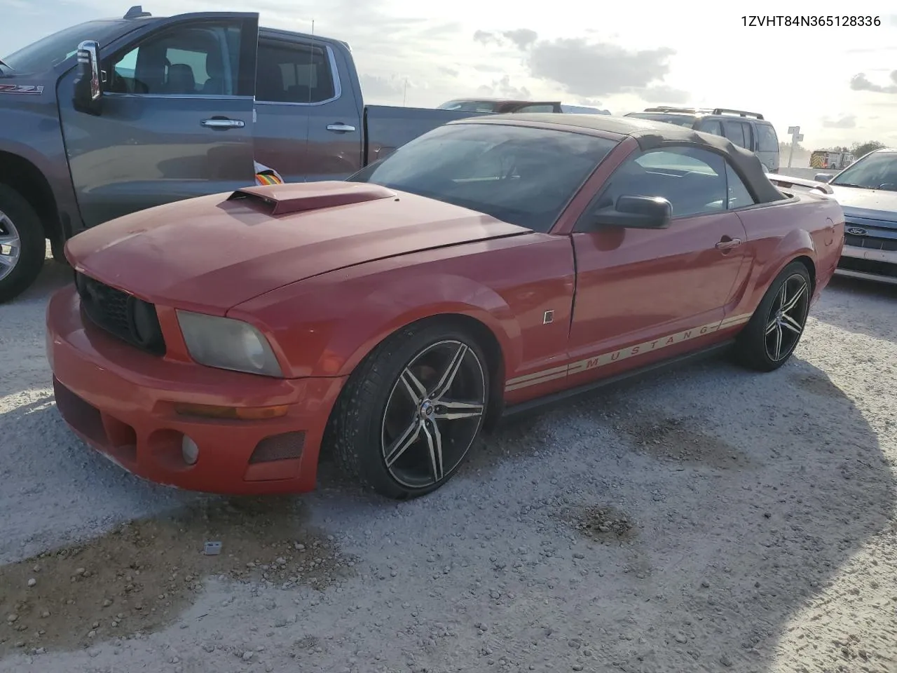 2006 Ford Mustang VIN: 1ZVHT84N365128336 Lot: 76925614