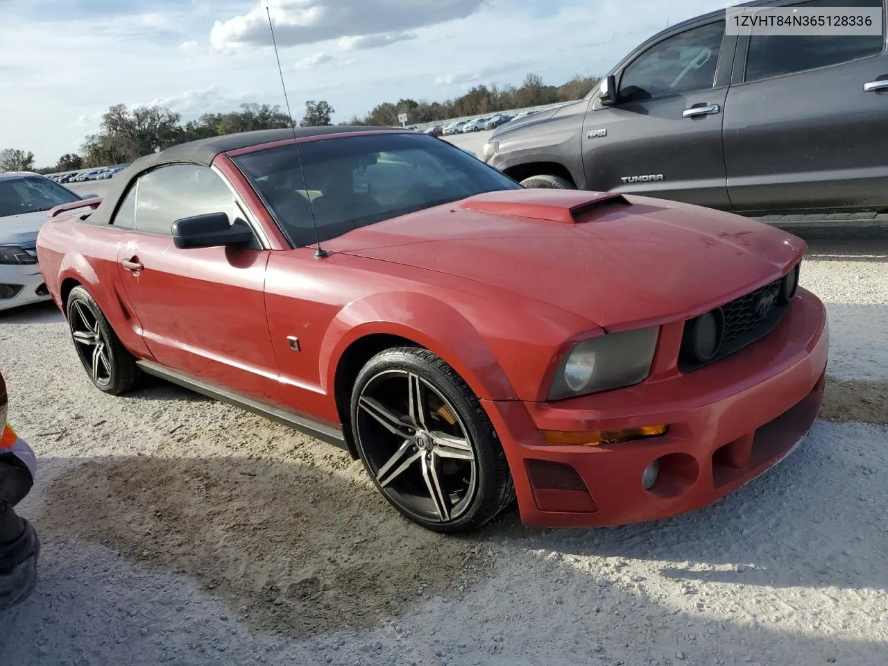 2006 Ford Mustang VIN: 1ZVHT84N365128336 Lot: 76925614