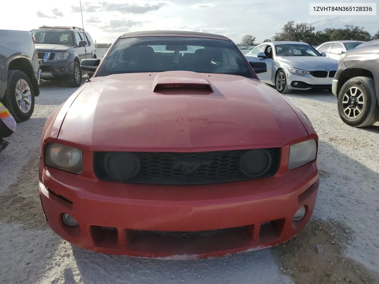 2006 Ford Mustang VIN: 1ZVHT84N365128336 Lot: 76925614