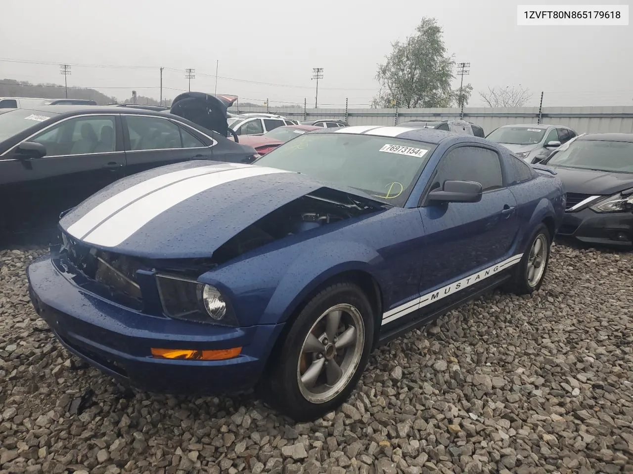 2006 Ford Mustang VIN: 1ZVFT80N865179618 Lot: 76973154