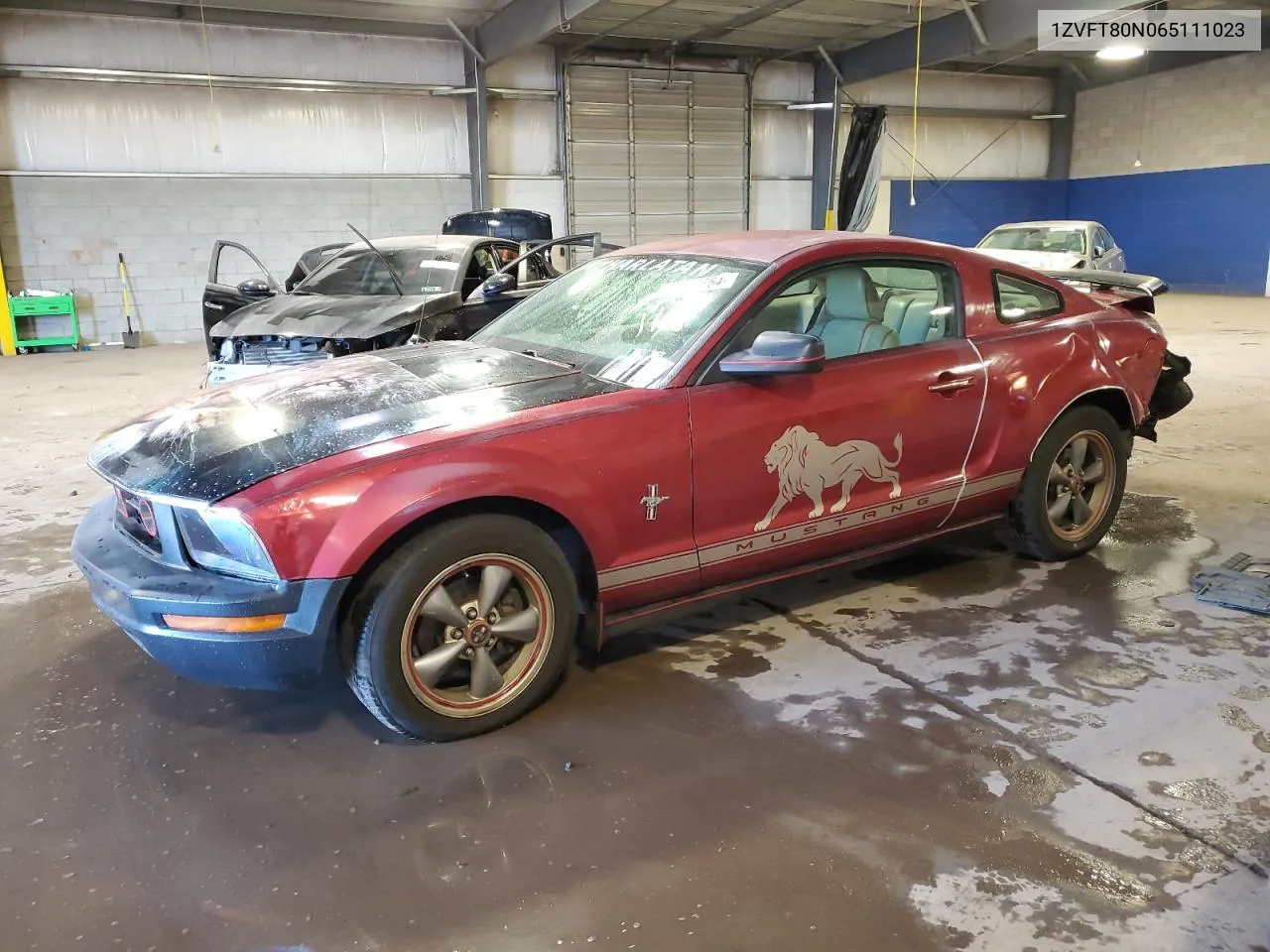 2006 Ford Mustang VIN: 1ZVFT80N065111023 Lot: 77139864