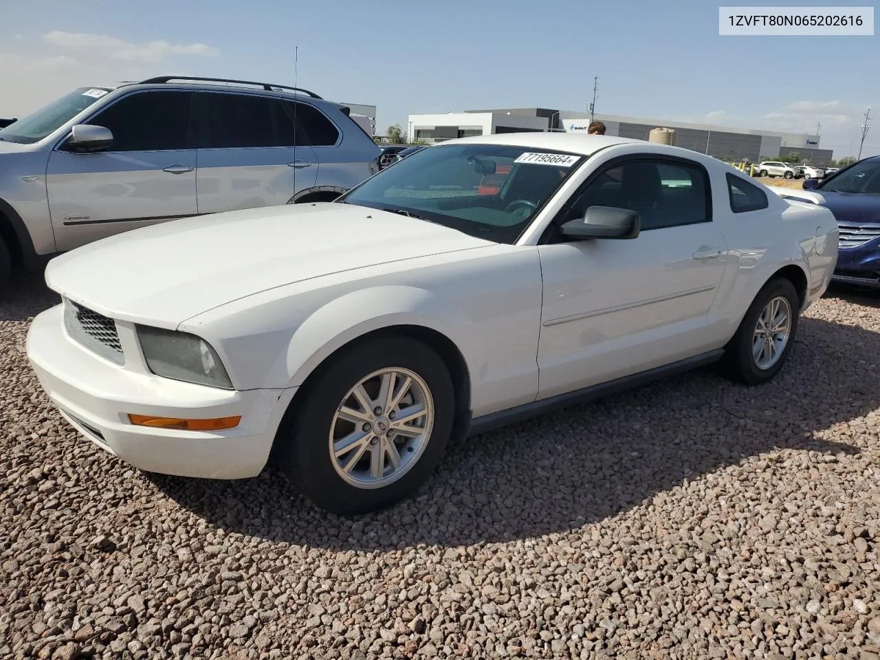 2006 Ford Mustang VIN: 1ZVFT80N065202616 Lot: 77195664