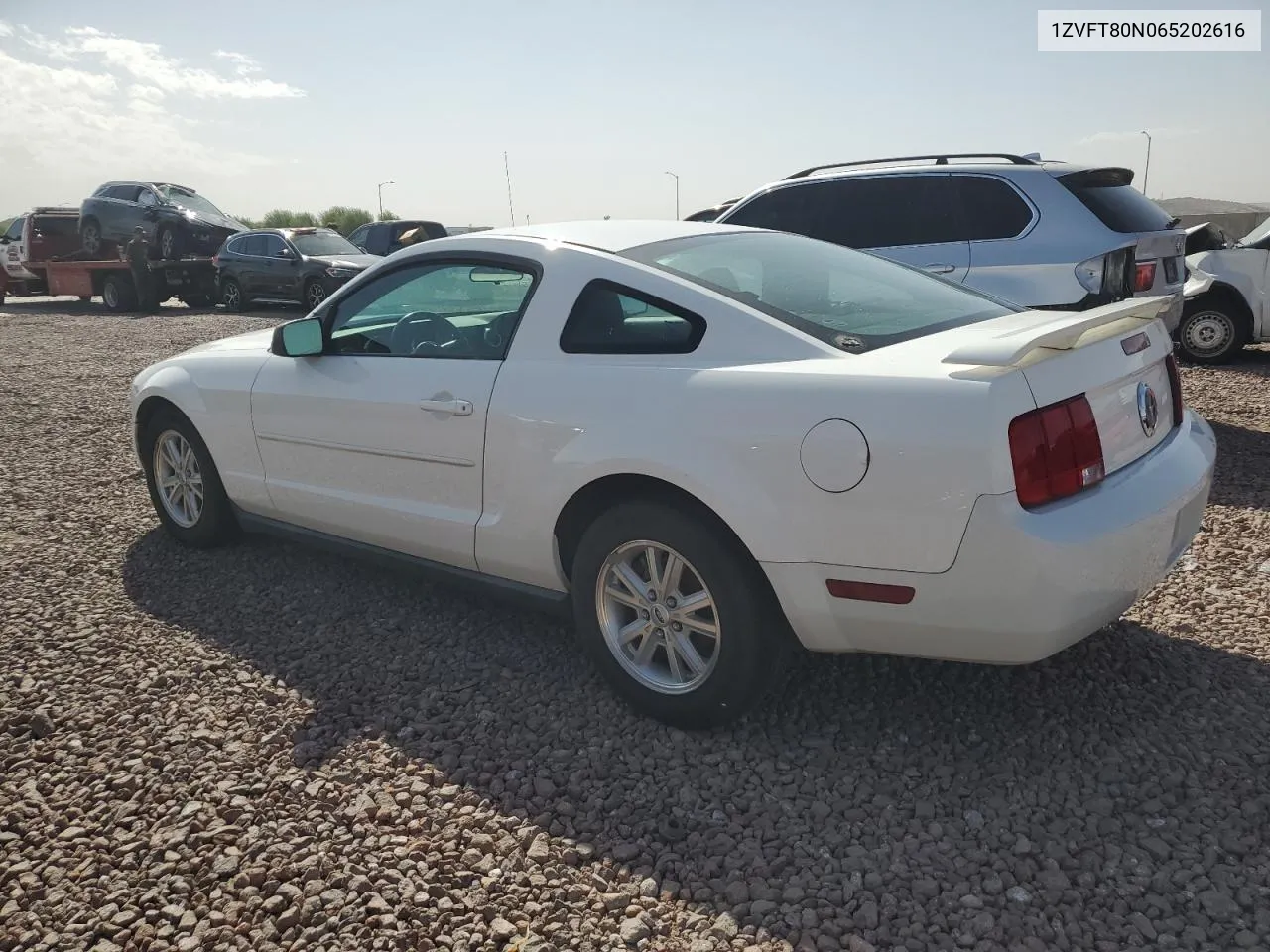 2006 Ford Mustang VIN: 1ZVFT80N065202616 Lot: 77195664