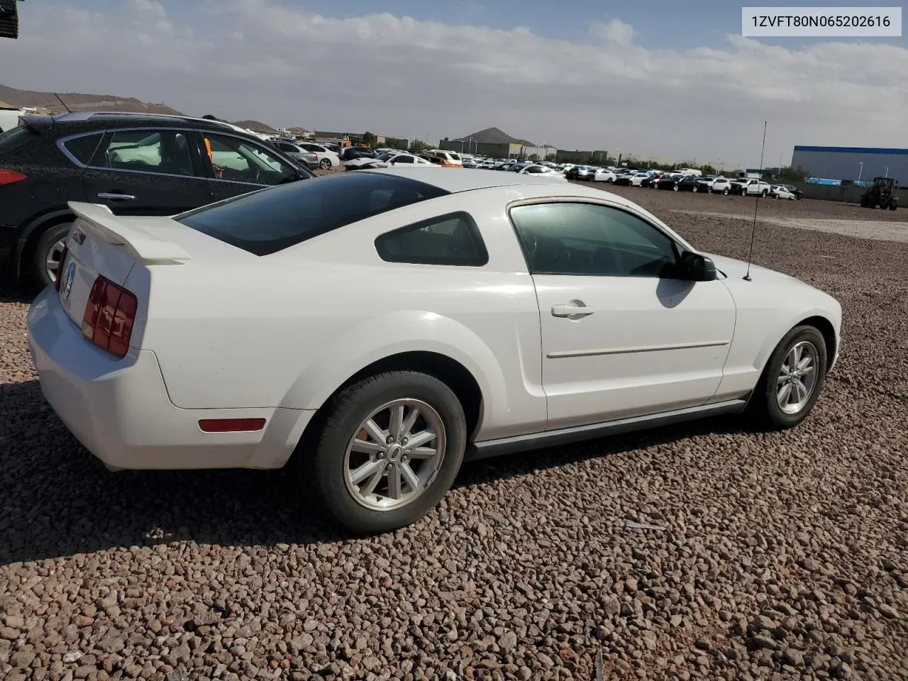 2006 Ford Mustang VIN: 1ZVFT80N065202616 Lot: 77195664