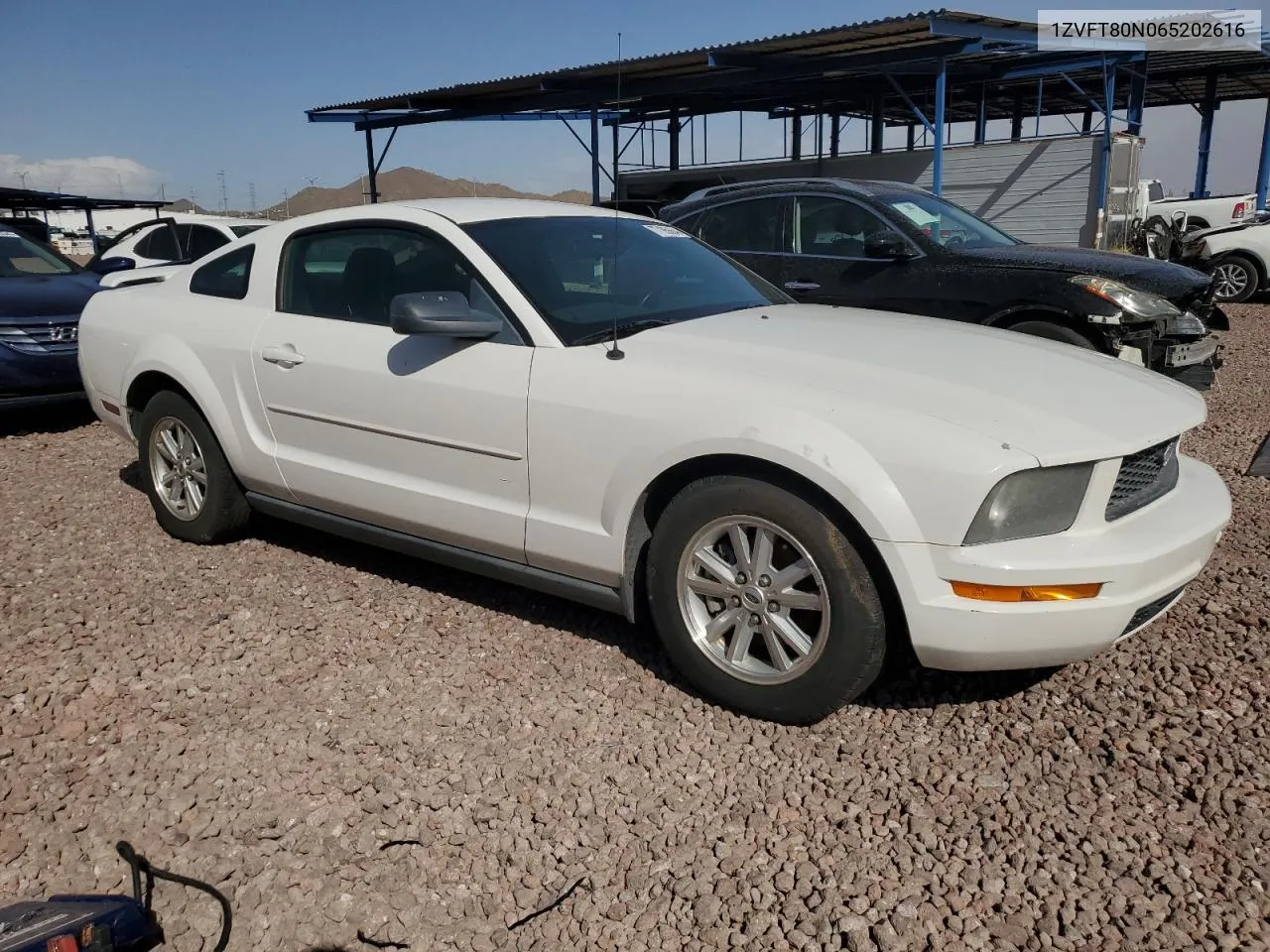 2006 Ford Mustang VIN: 1ZVFT80N065202616 Lot: 77195664