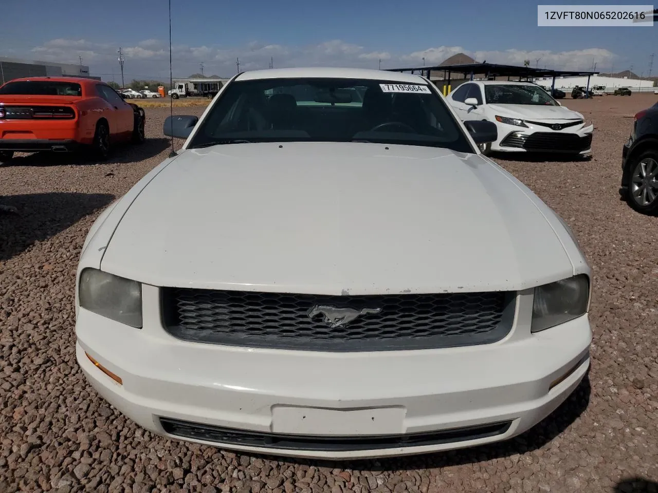 2006 Ford Mustang VIN: 1ZVFT80N065202616 Lot: 77195664