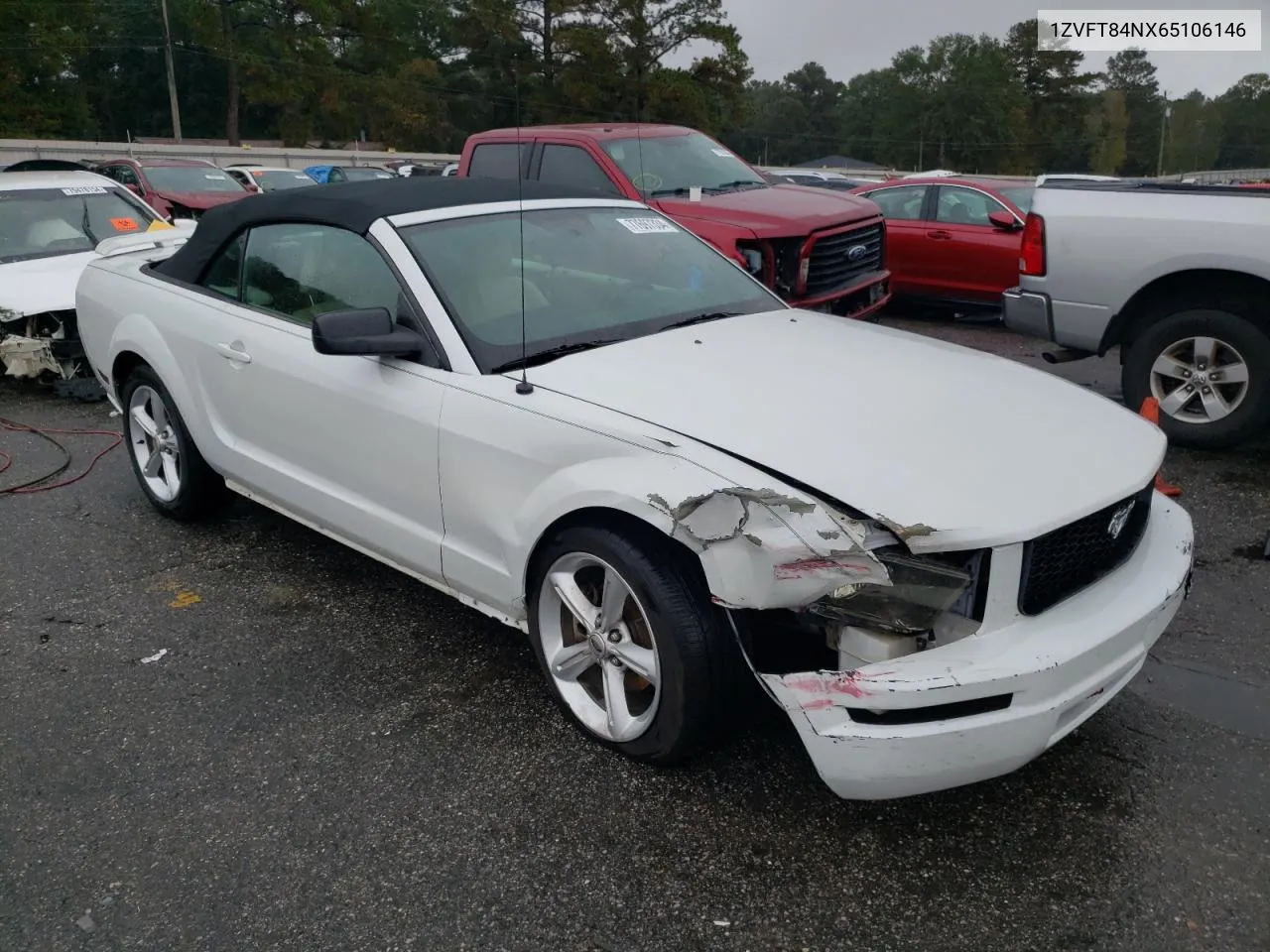 2006 Ford Mustang VIN: 1ZVFT84NX65106146 Lot: 77697334