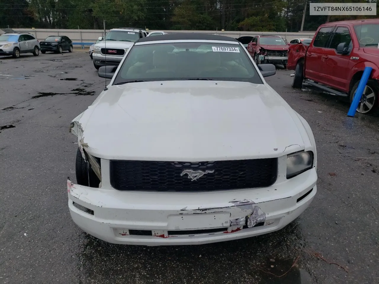 2006 Ford Mustang VIN: 1ZVFT84NX65106146 Lot: 77697334