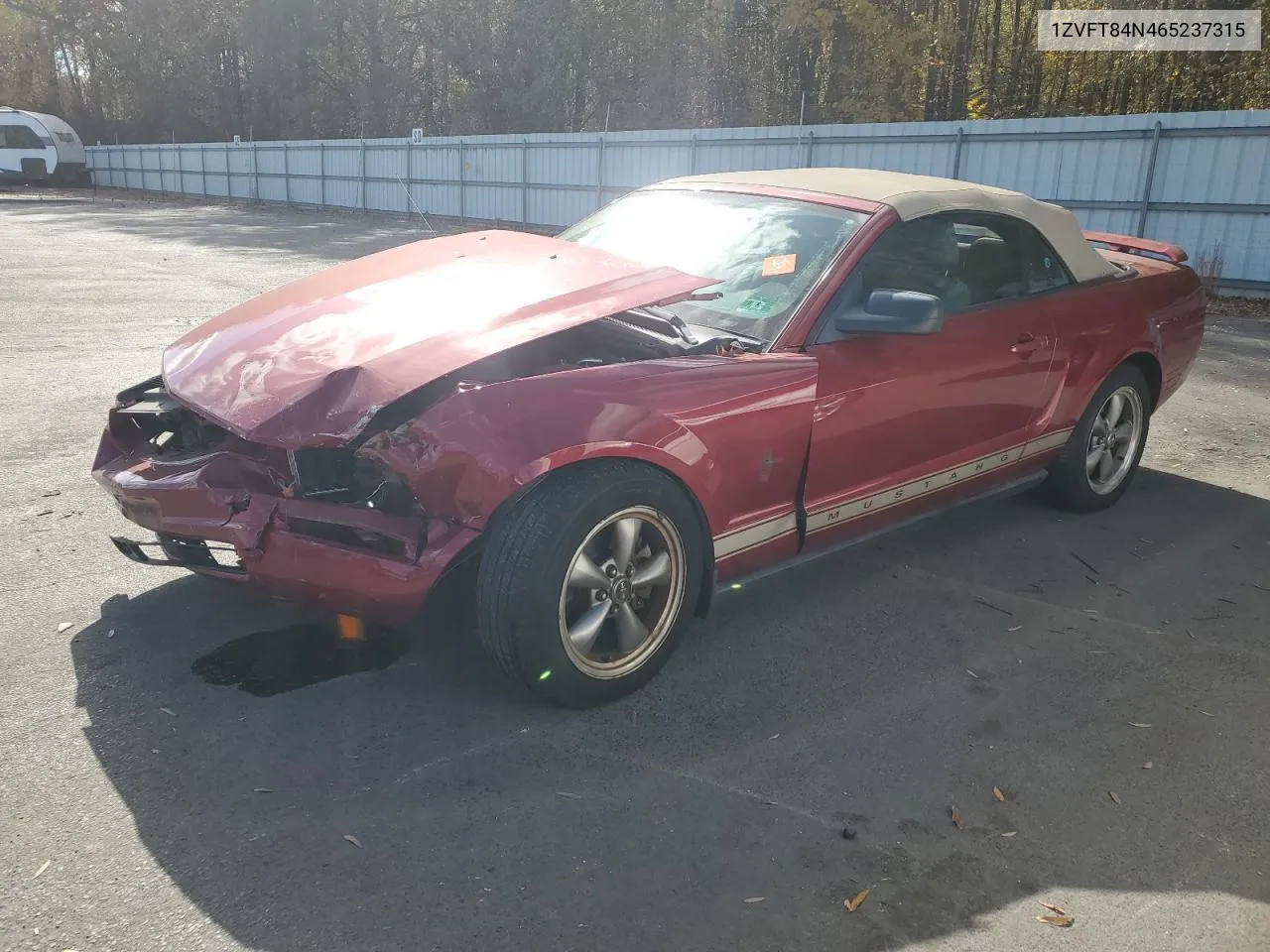 2006 Ford Mustang VIN: 1ZVFT84N465237315 Lot: 77735474