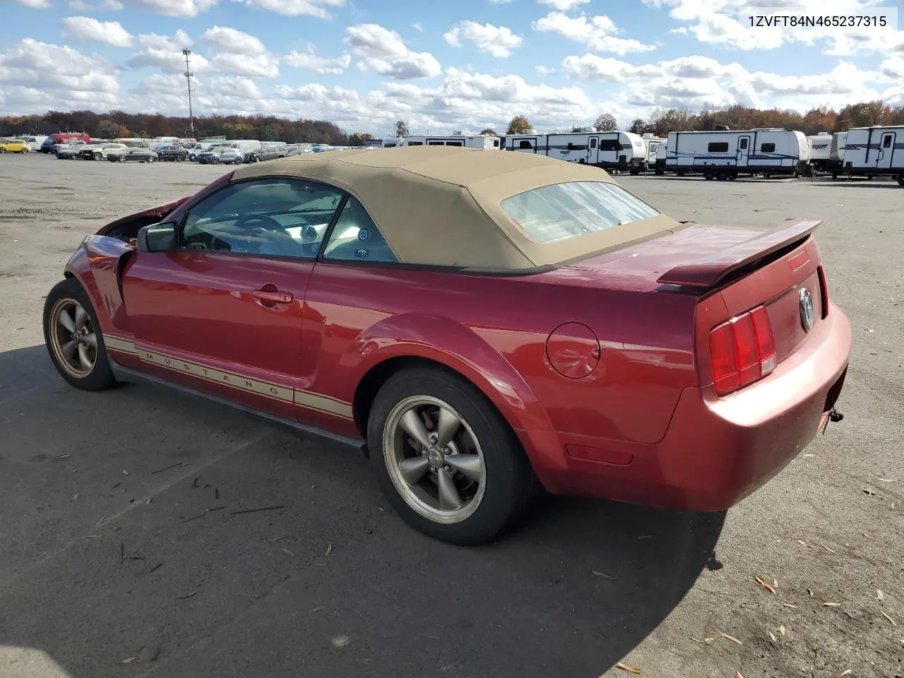 2006 Ford Mustang VIN: 1ZVFT84N465237315 Lot: 77735474