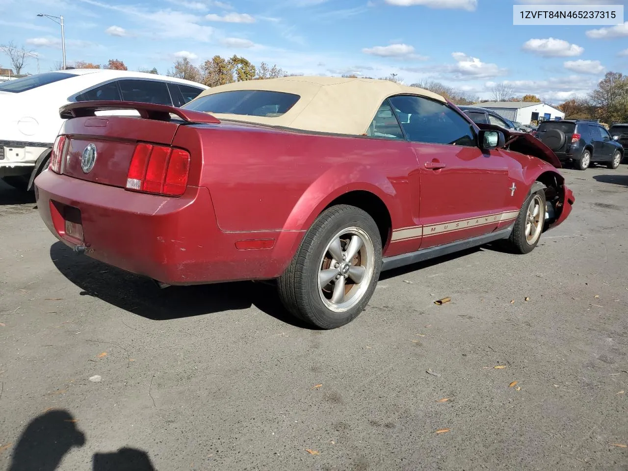 2006 Ford Mustang VIN: 1ZVFT84N465237315 Lot: 77735474