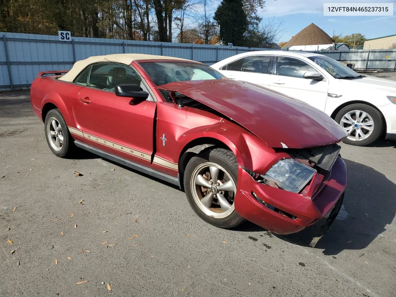 2006 Ford Mustang VIN: 1ZVFT84N465237315 Lot: 77735474