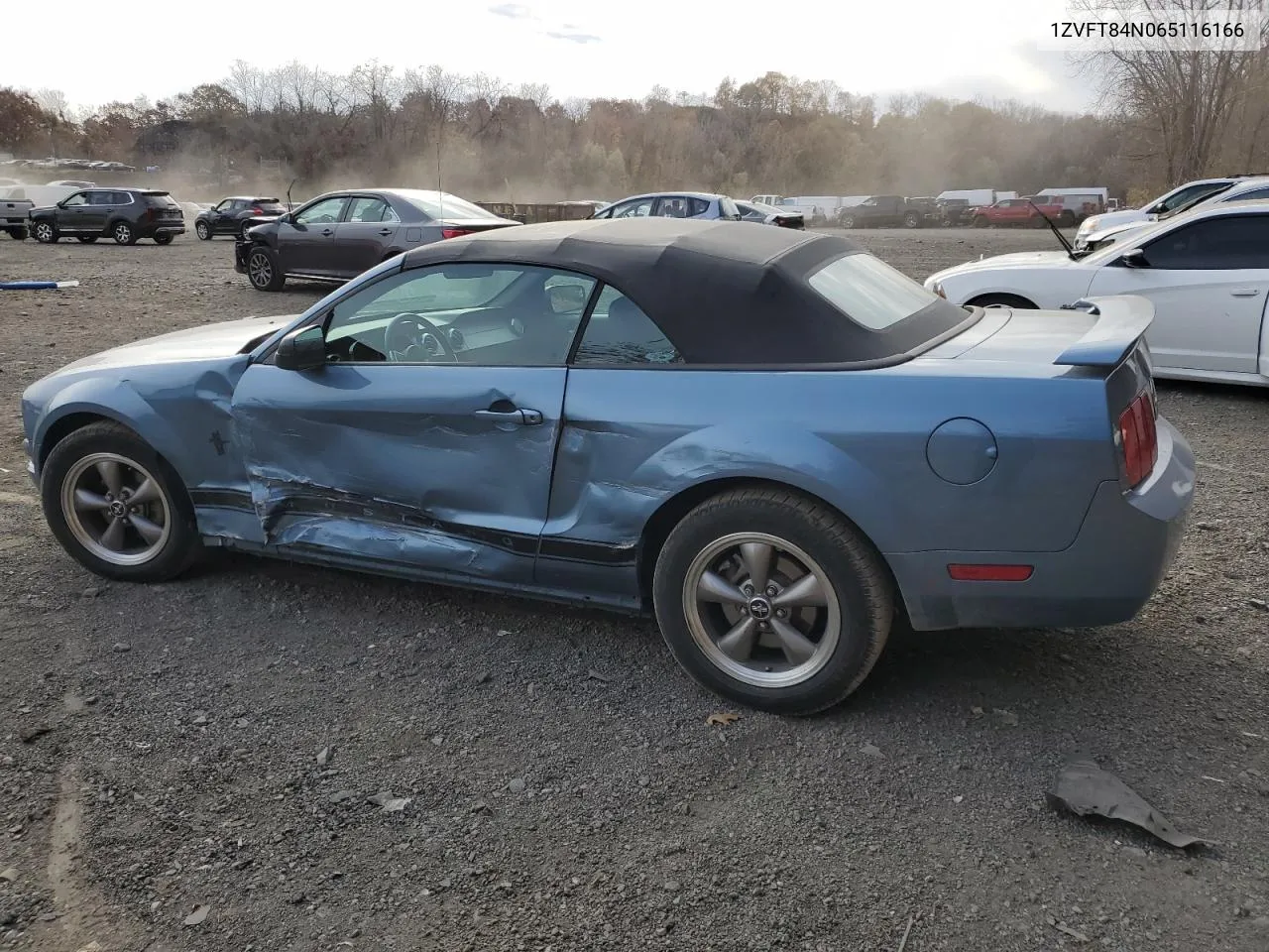 2006 Ford Mustang VIN: 1ZVFT84N065116166 Lot: 78828354