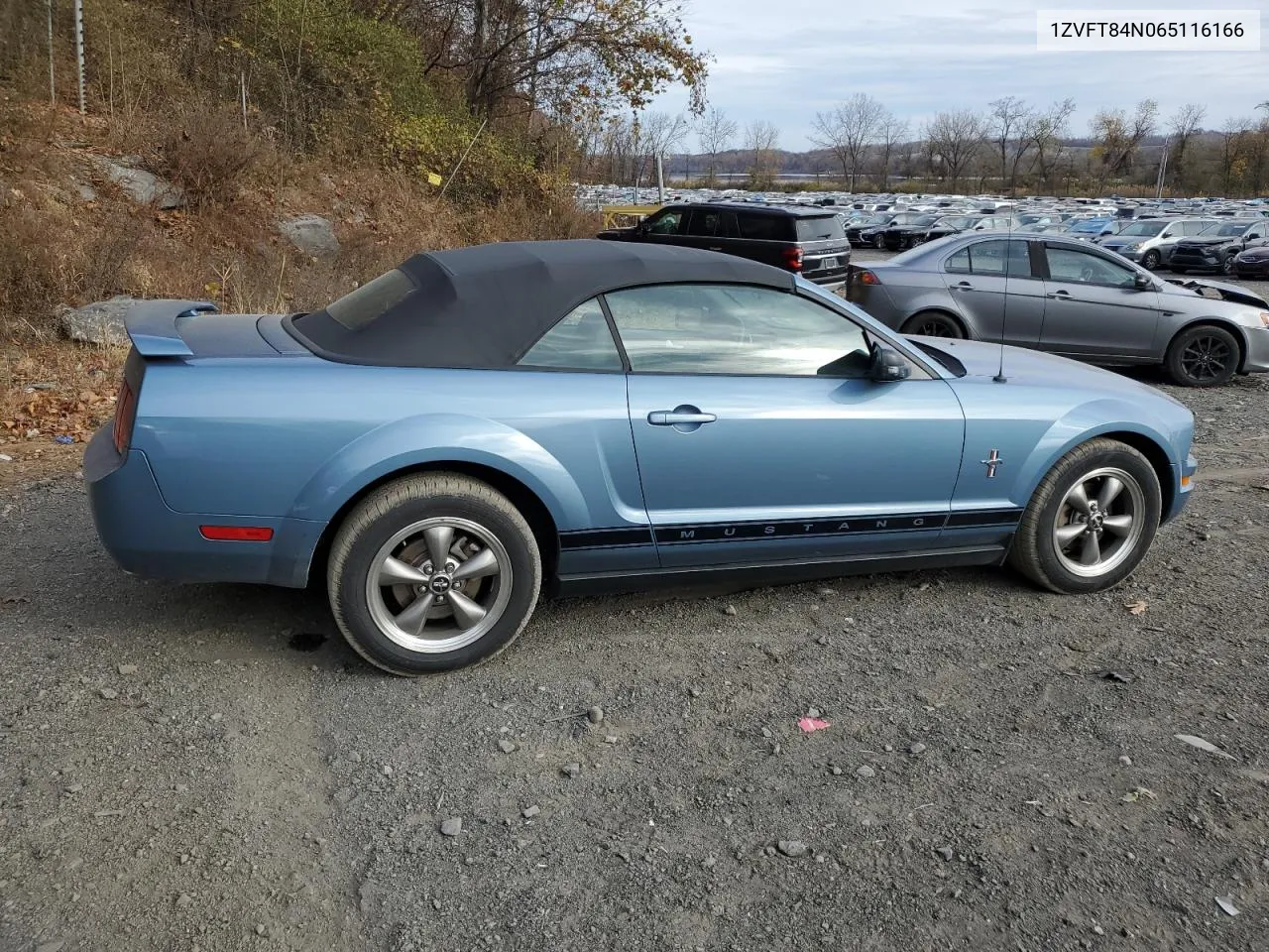 2006 Ford Mustang VIN: 1ZVFT84N065116166 Lot: 78828354