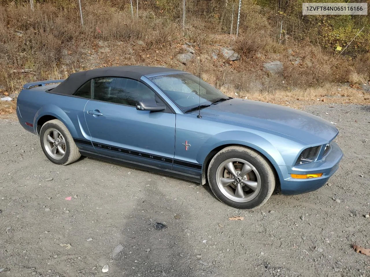 2006 Ford Mustang VIN: 1ZVFT84N065116166 Lot: 78828354